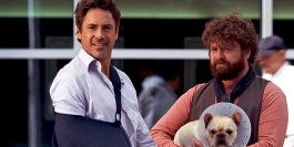 "Due Date"